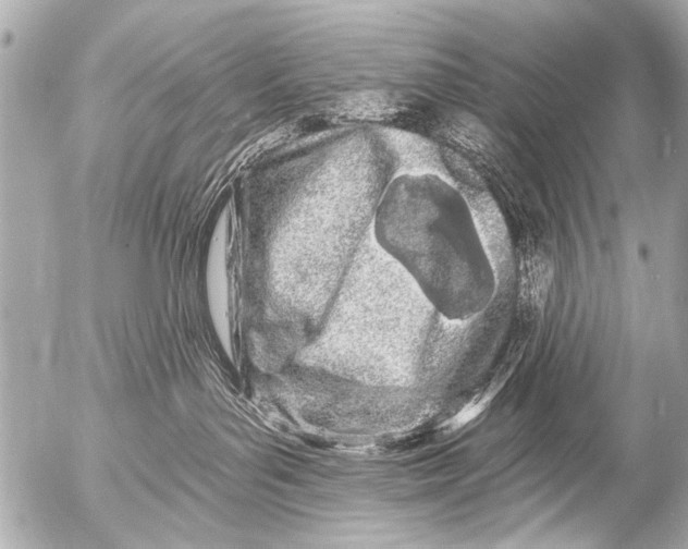 X0000054460143200508270113