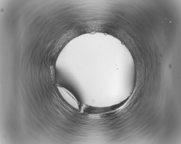 X0000054460144200508270113