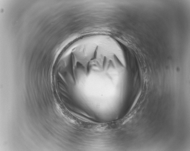 X0000054460148200508270113
