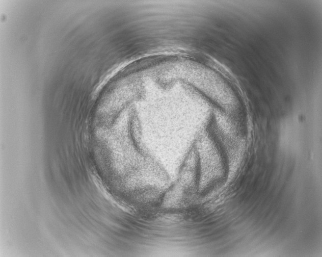 X0000054460155200508270113