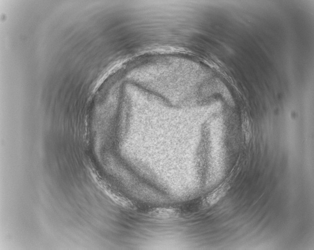 X0000054460159200508270113