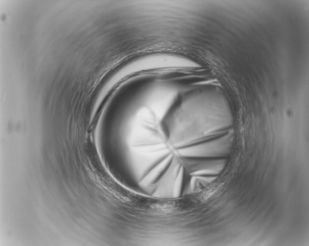 X0000054460164200508270113