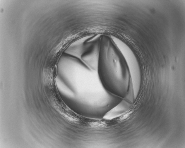 X0000054460168200508270113