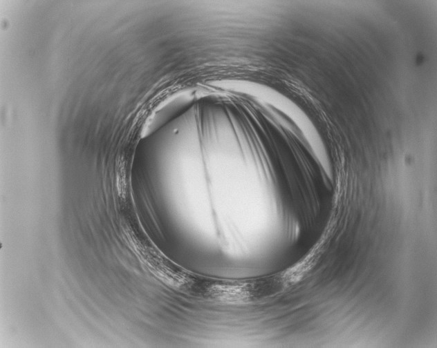 X0000054460170200508270113