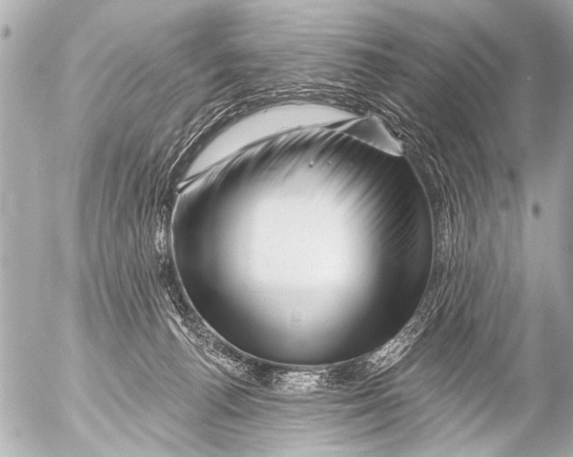 X0000054460176200508270113
