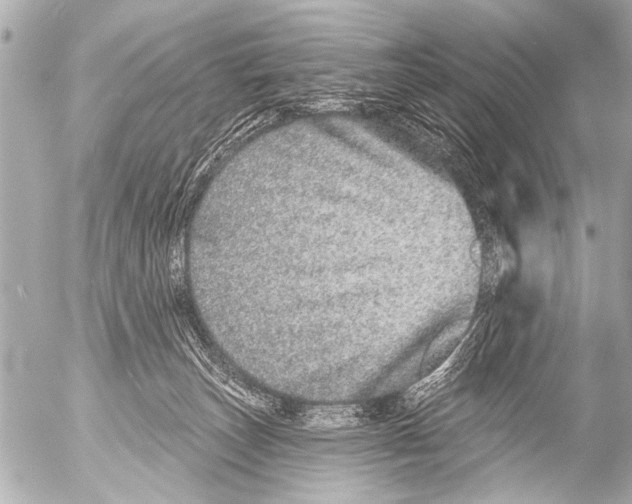 X0000054460179200508270113
