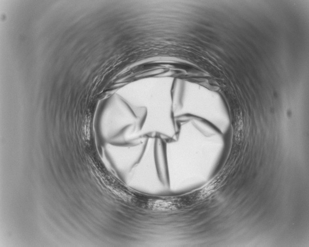 X0000054460180200508270113