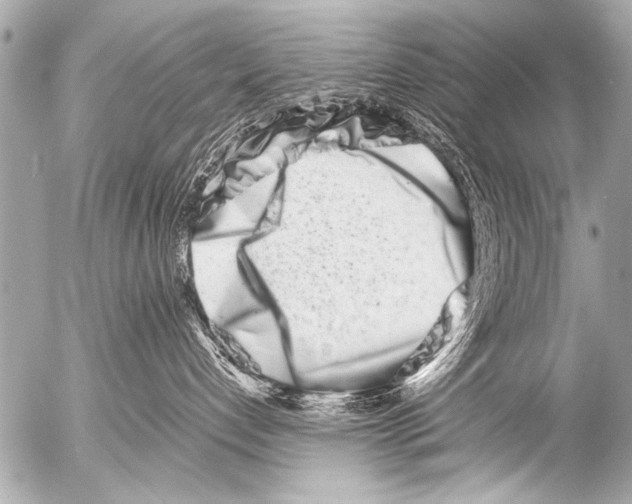 X0000054460192200508270113