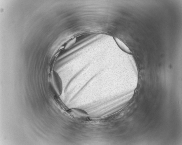 X0000054460194200508270113
