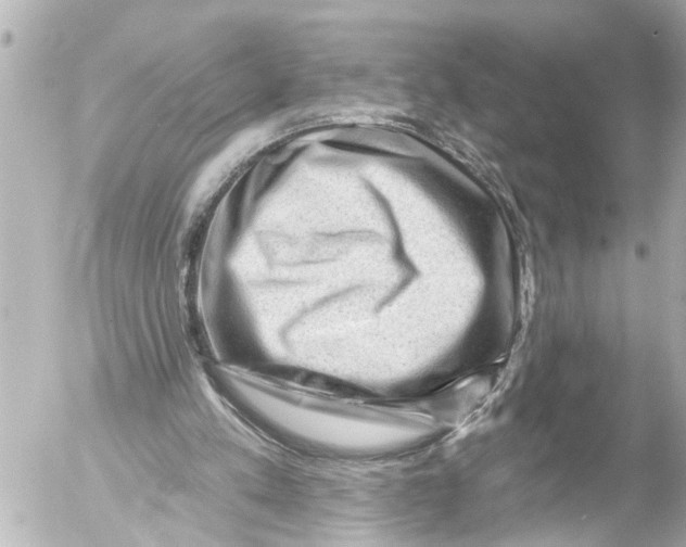 X0000054460197200508270113