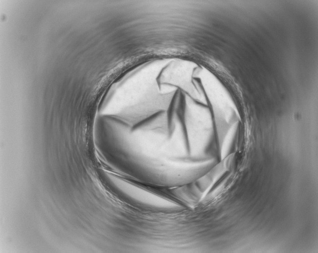 X0000054460201200508270112