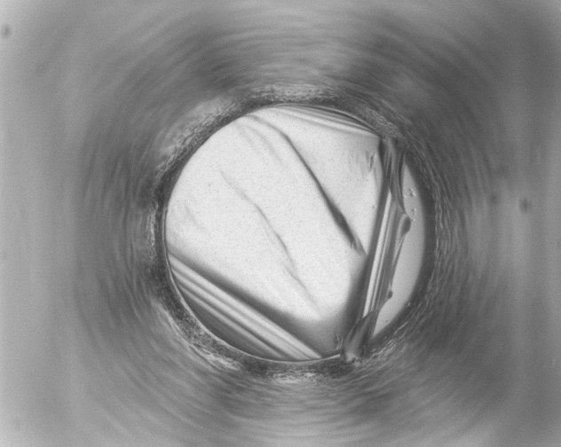 X0000054460206200508270112
