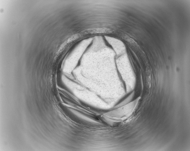 X0000054460207200508270112