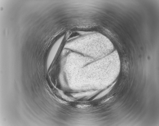 X0000054460211200508270112