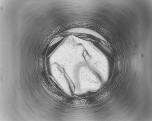 X0000054460215200508270112