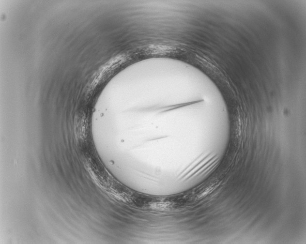 X0000054460216200508270112