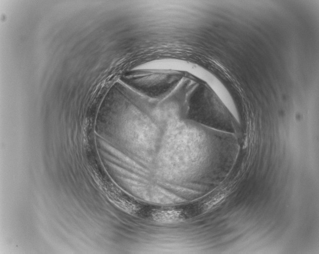 X0000054460217200508270112