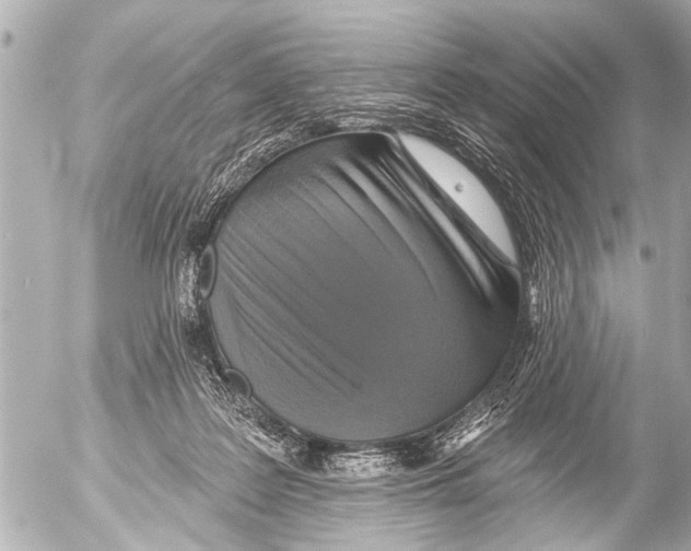 X0000054460219200508270112