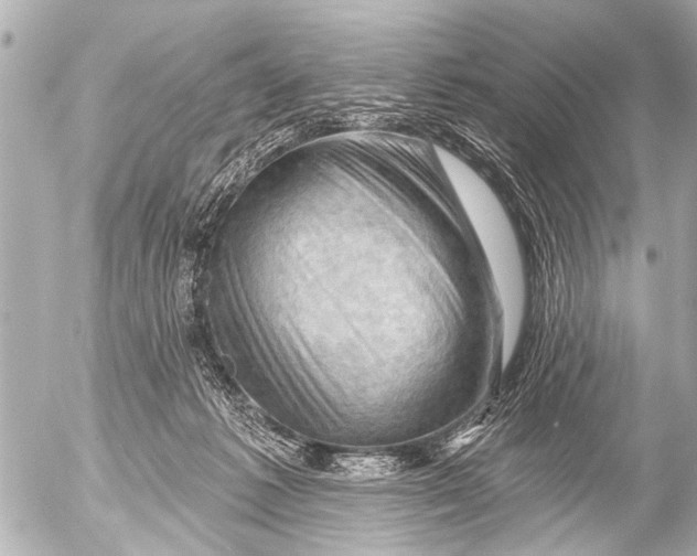 X0000054460221200508270112