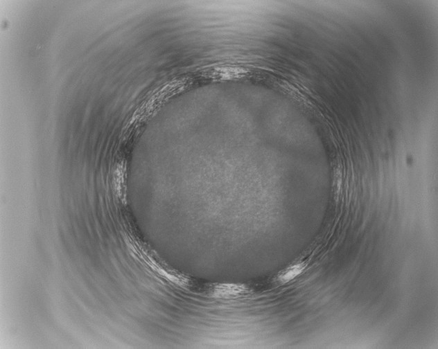 X0000054460222200508270112