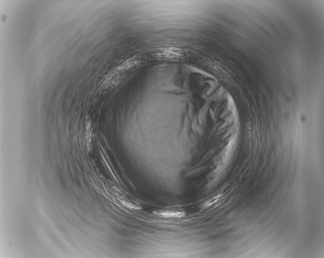 X0000054460223200508270112