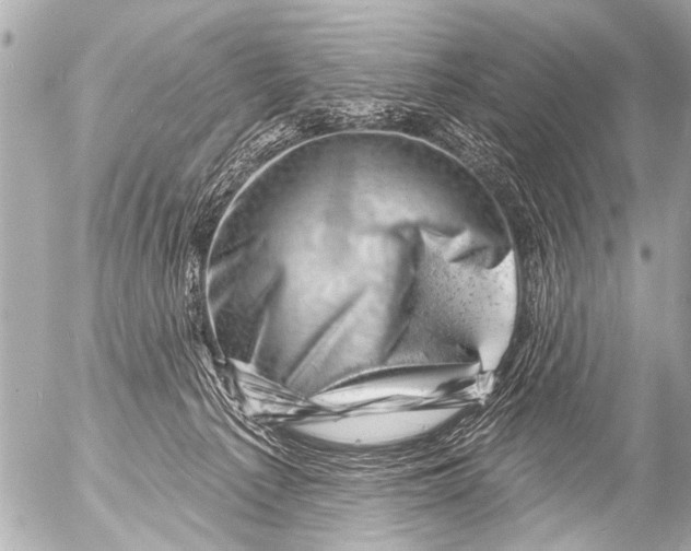 X0000054460225200508270112