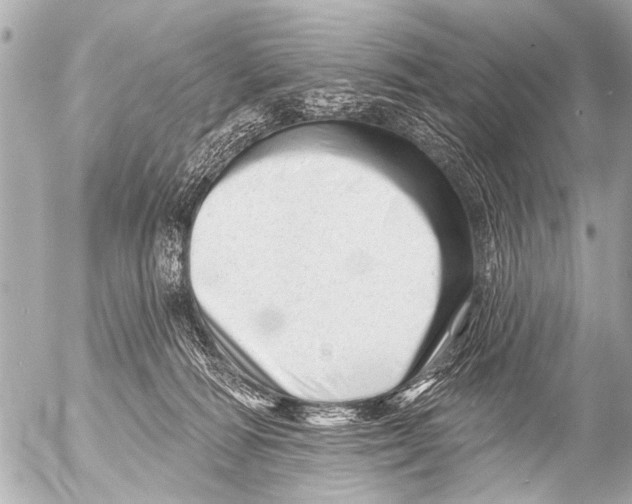 X0000054460226200508270112