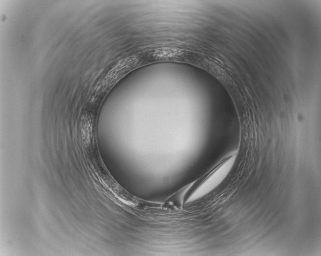 X0000054460227200508270112