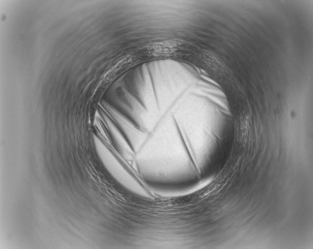 X0000054460228200508270112