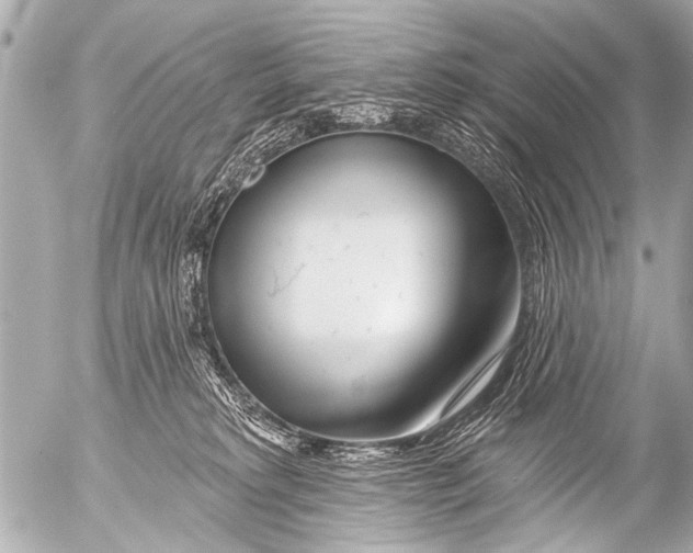 X0000054460229200508270112