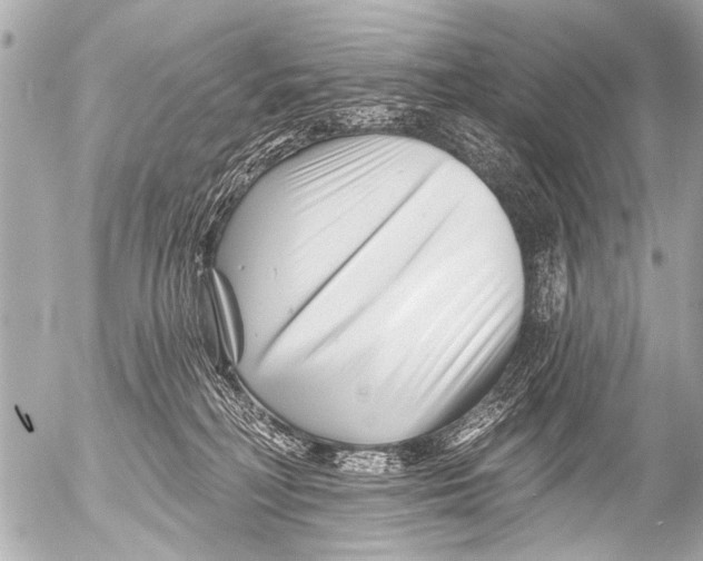 X0000054460230200508270112