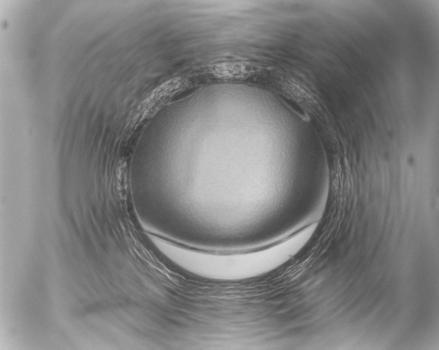 X0000054460233200508270112
