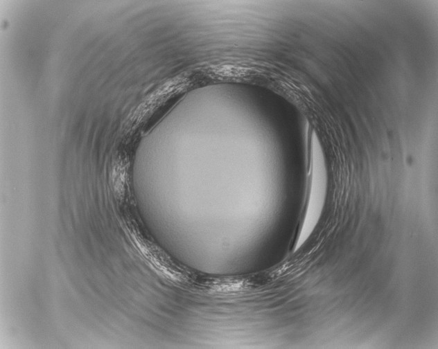 X0000054460235200508270112