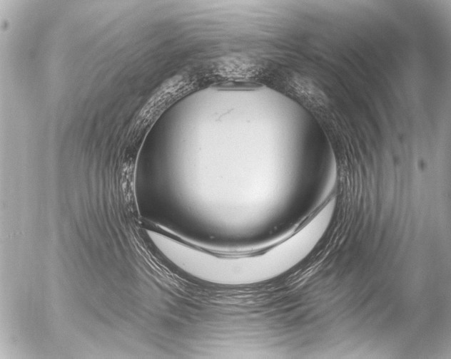 X0000054460237200508270112
