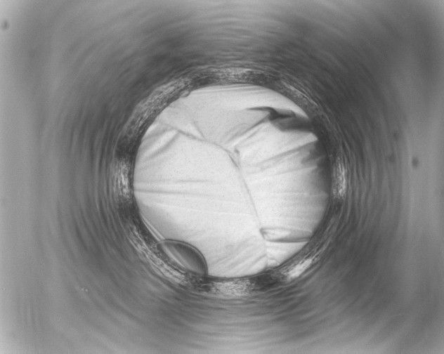 X0000054460238200508270112
