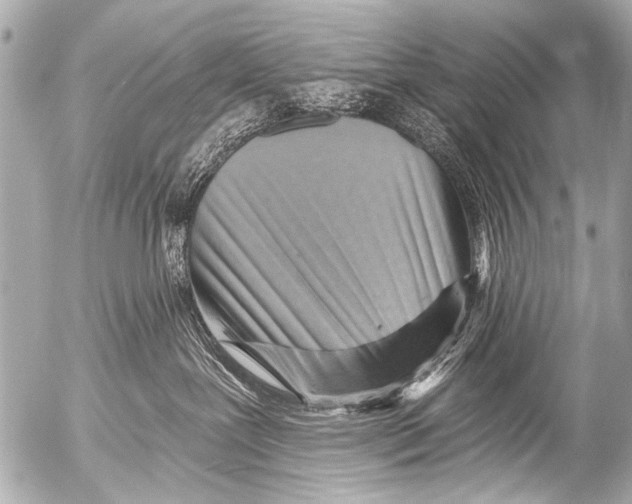X0000054460239200508270112