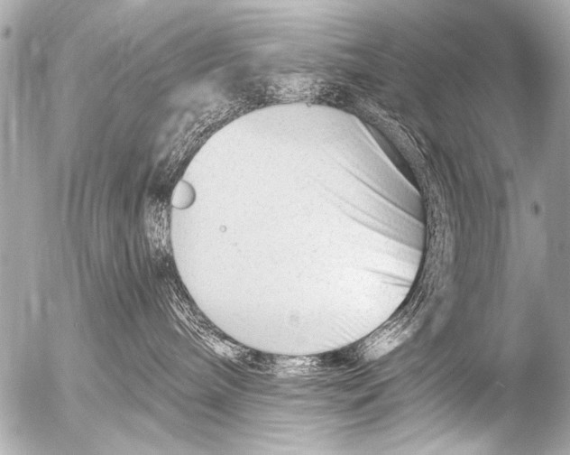 X0000054460240200508270112