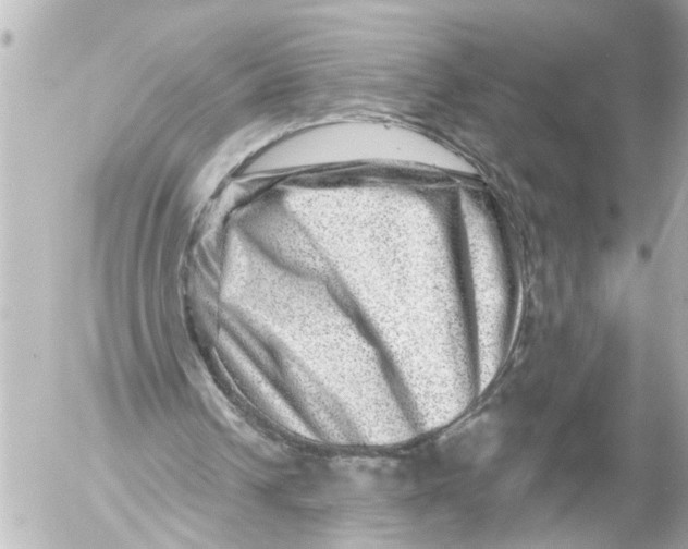 X0000054460242200508270111