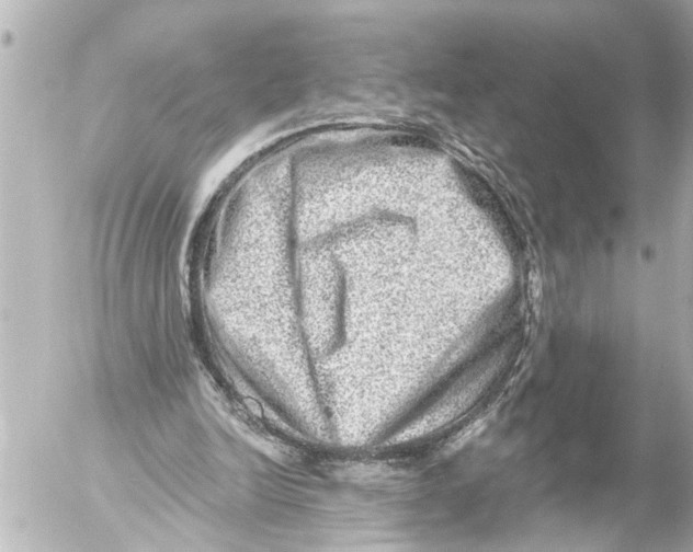X0000054460246200508270111