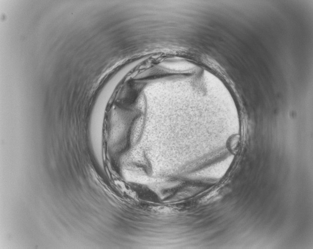 X0000054460249200508270111