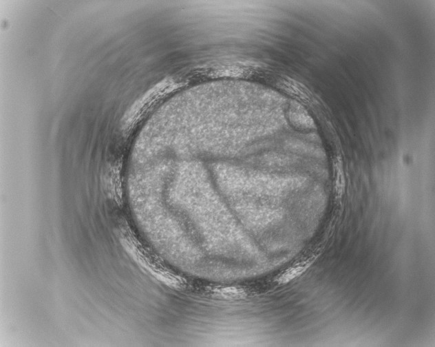 X0000054460258200508270111