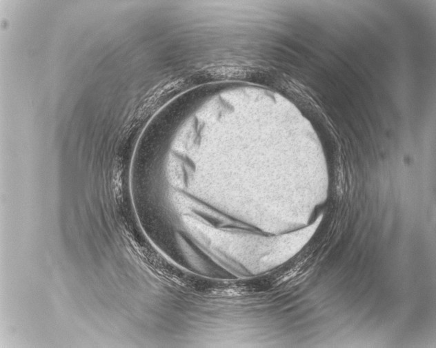 X0000054460259200508270111