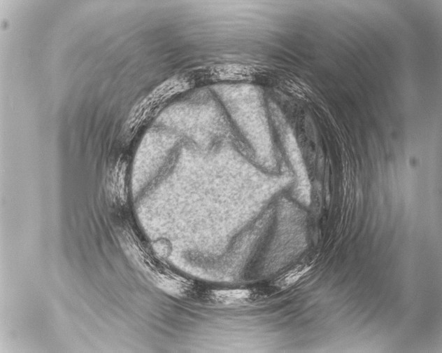 X0000054460266200508270111
