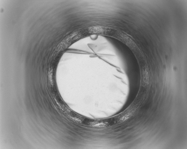 X0000054460267200508270111