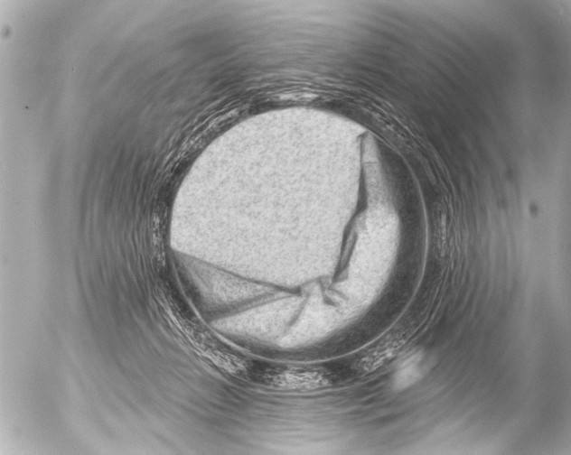 X0000054460270200508270112
