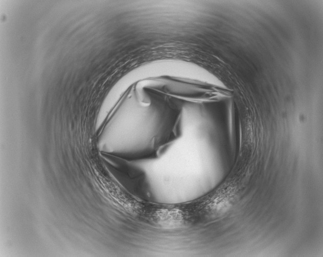 X0000054460271200508270112