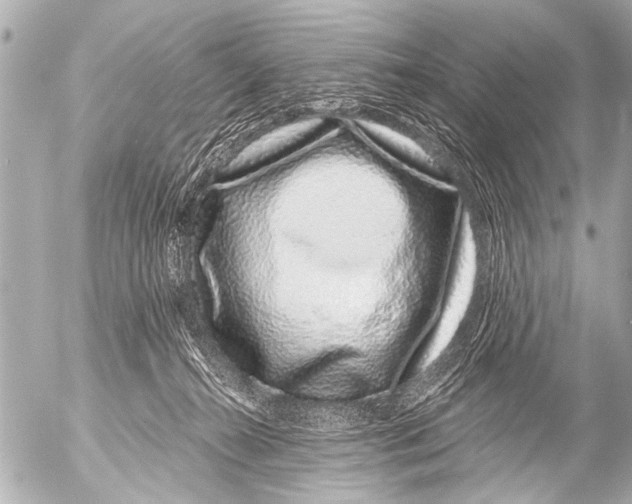 X0000054460272200508270112