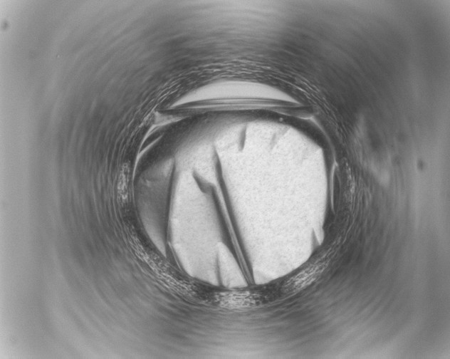 X0000054460273200508270112