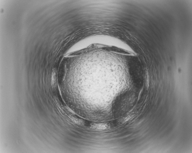 X0000054460276200508270112