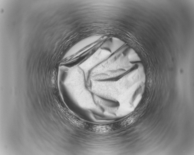 X0000054460277200508270112
